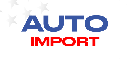 Auto Import Logo